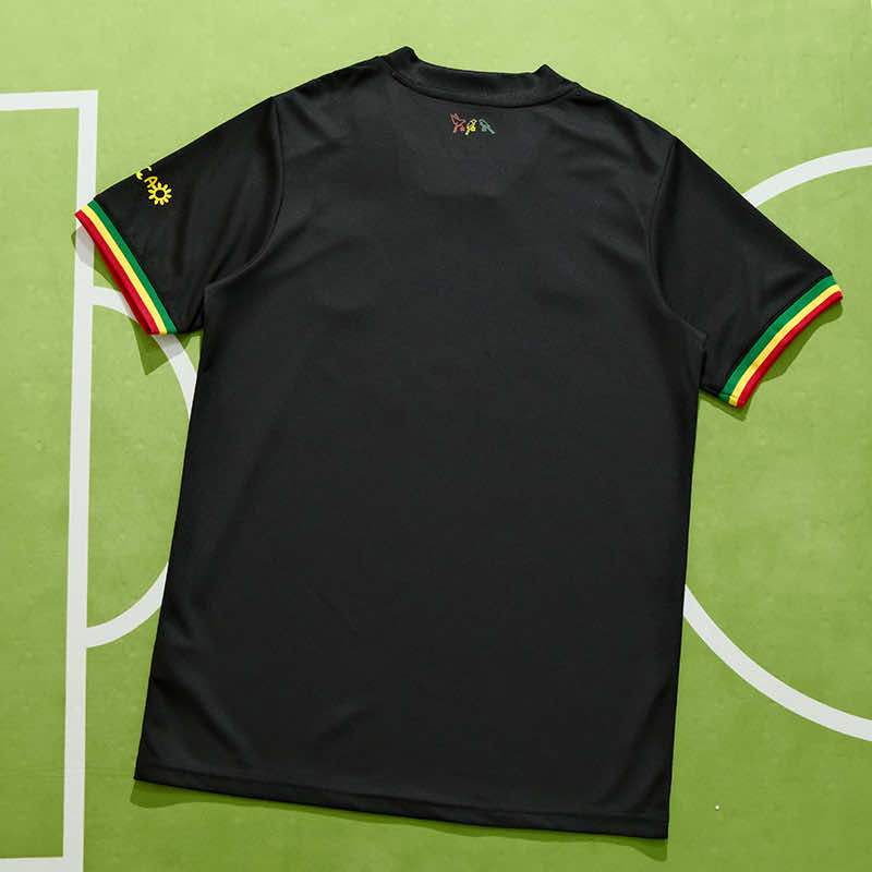 Футболка Аякс дополнительная Bob Marley 2021-2022